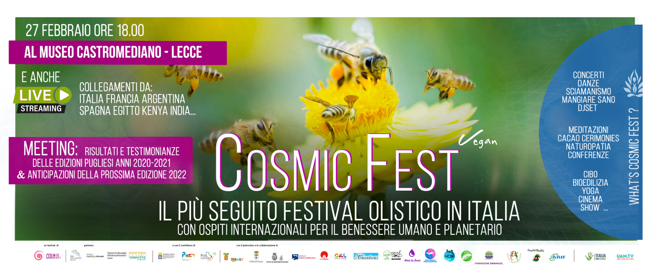 COSMIC FEST 2022